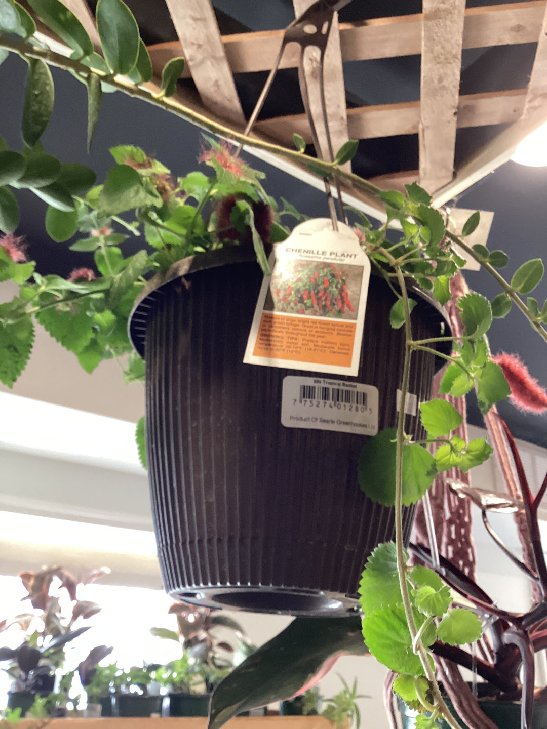 hanging plant chandelier Faux Greenery Hoop Chandelier – 42