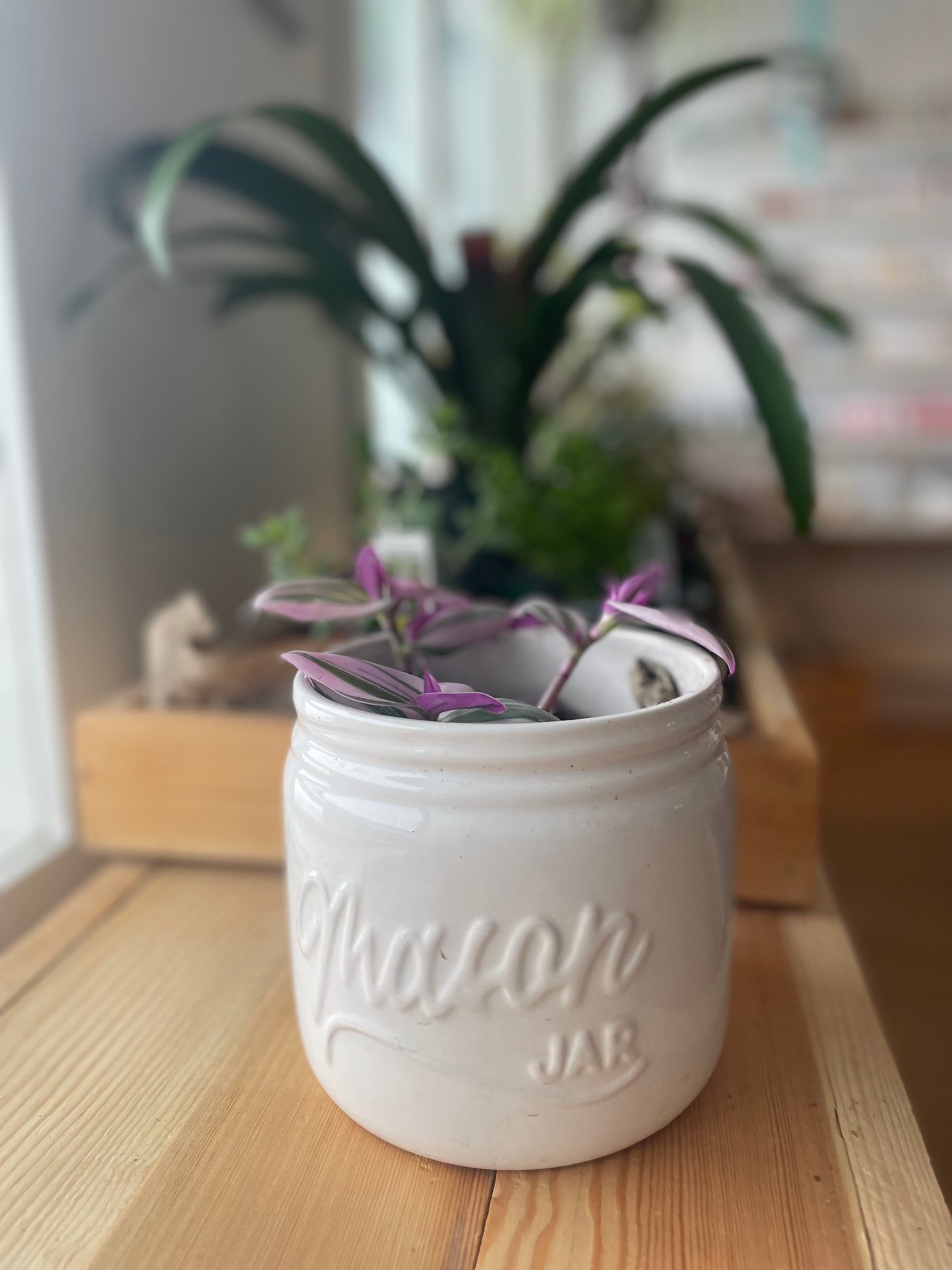 mason jar plant pot Mason Jar Plant Pot – The Community General Store
